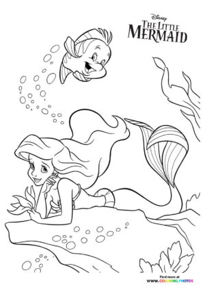 The little mermaid pages free and easy print or download