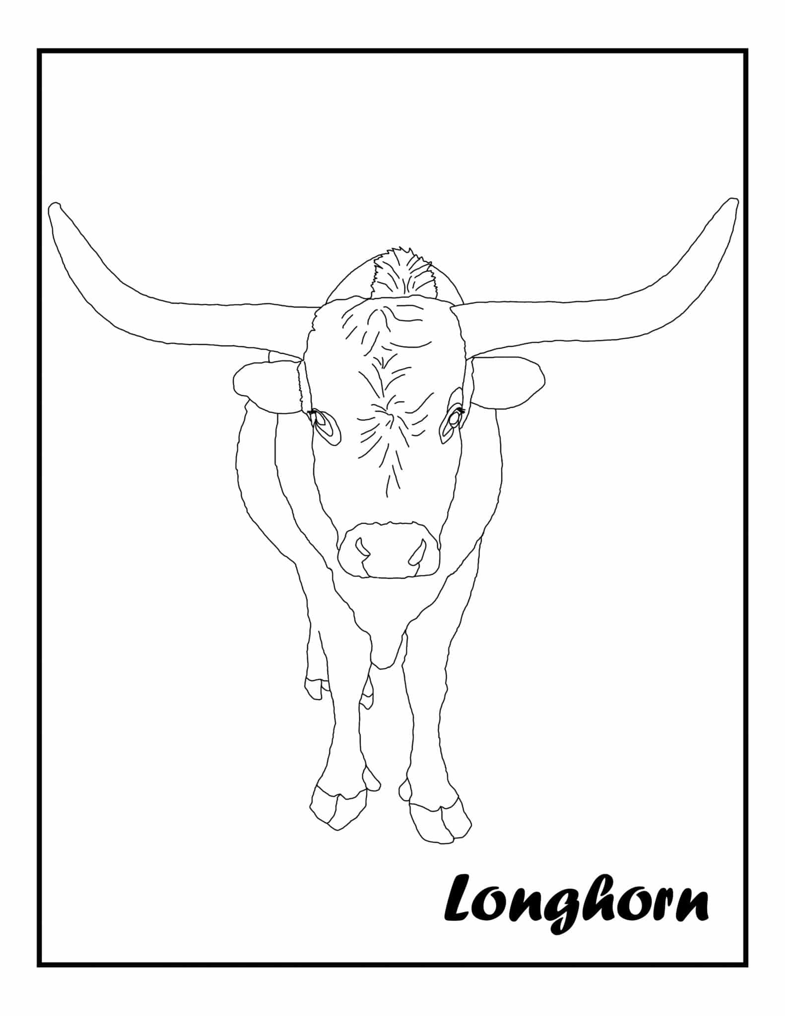 Coloring pages