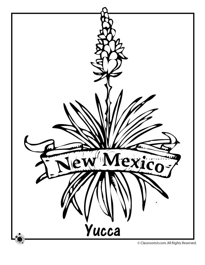 New mexico state flower coloring page woo jr kids activities flower coloring pages coloring pages adult coloring flowers