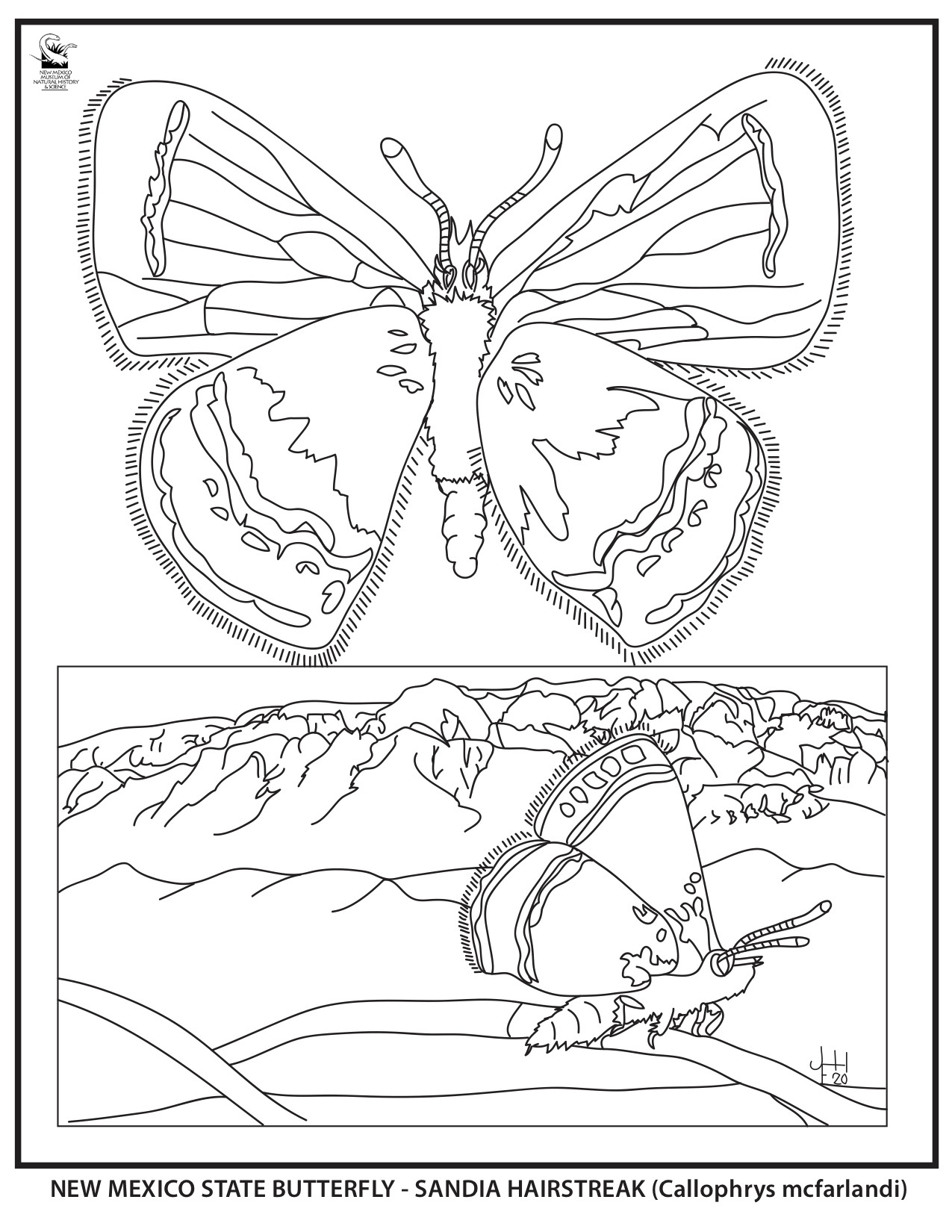 Natural history coloring sheets new mexico museum of natural history science