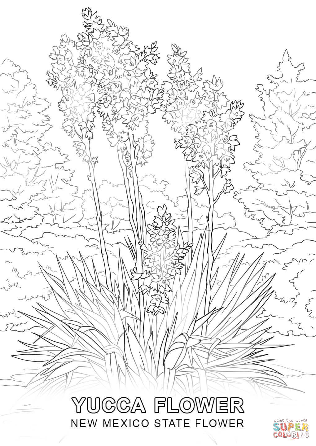 New mexico state flower coloring page free printable coloring pages