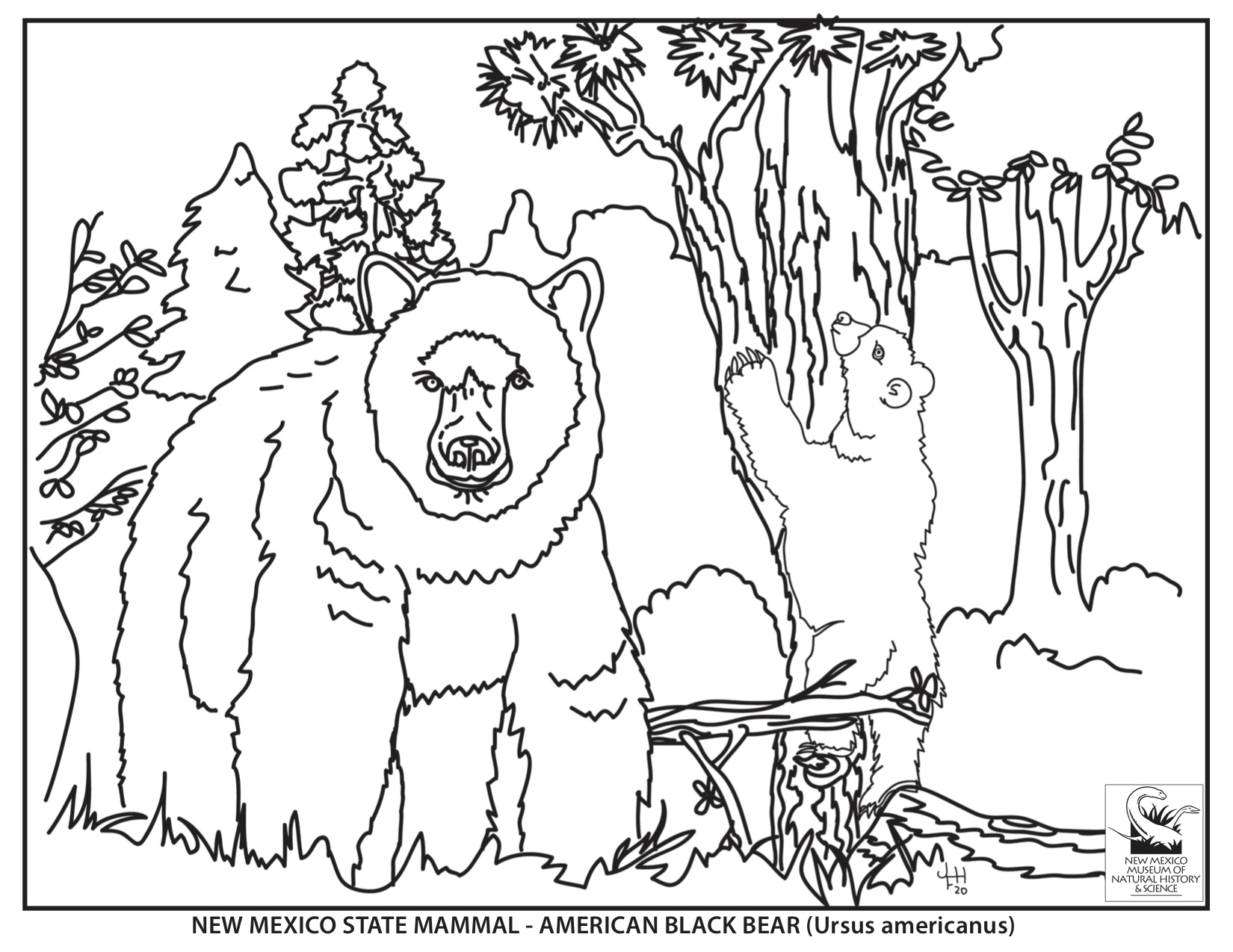 Natural history coloring sheets new mexico museum of natural history science