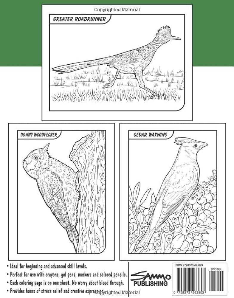 Birds of new mexico coloring book for kids teens adults a collection of mon unique birds of new mexico for bird watchers to identify and color morrison sam