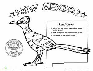 New mexico state bird worksheet education state birds new mexico education