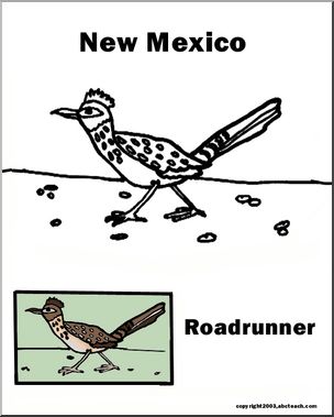 New mexico state bird