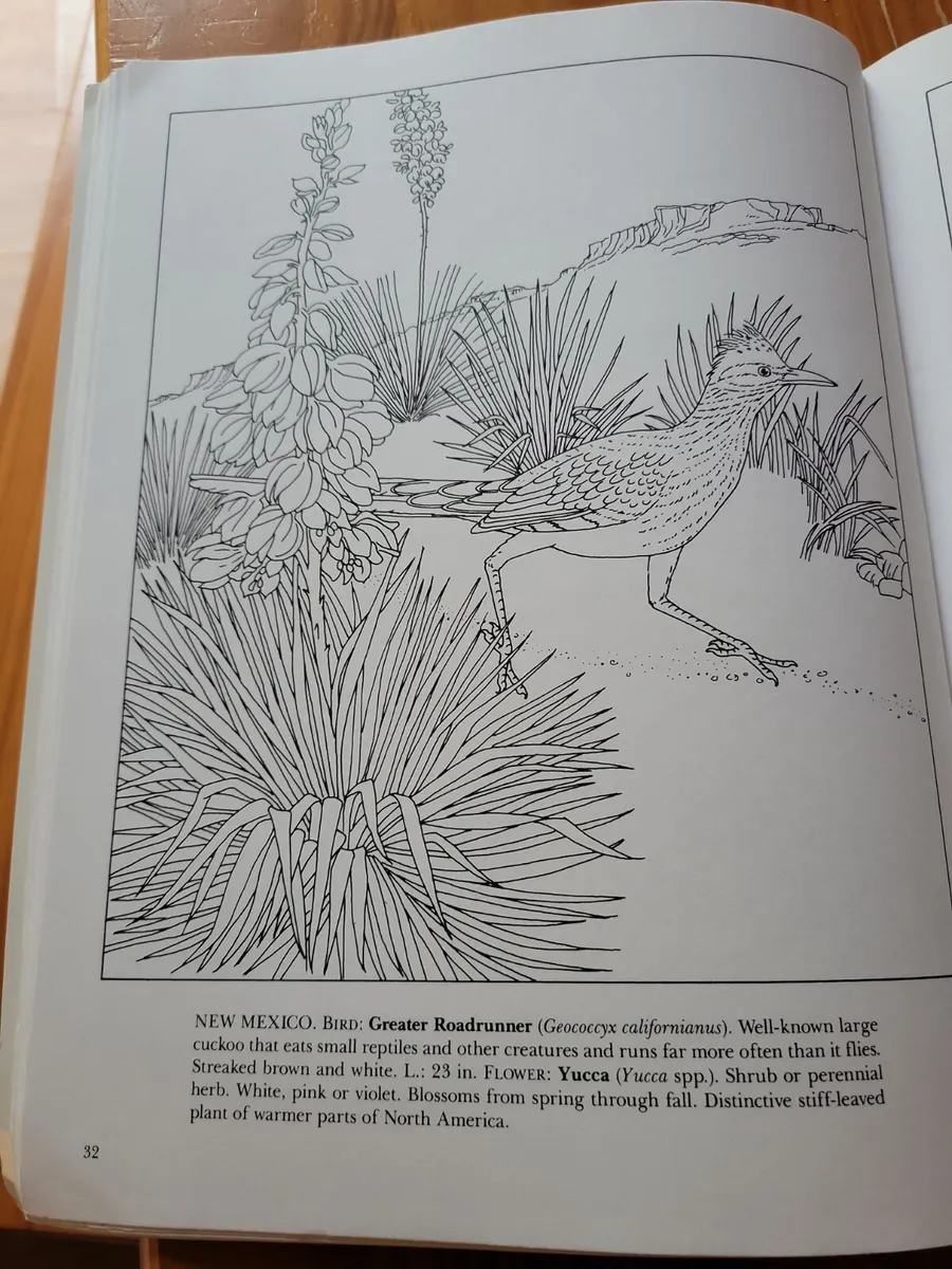 State birds flowers coloring book from dover publications paperback