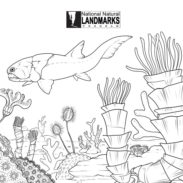 Nnl prehistoric life coloring pages us national park service