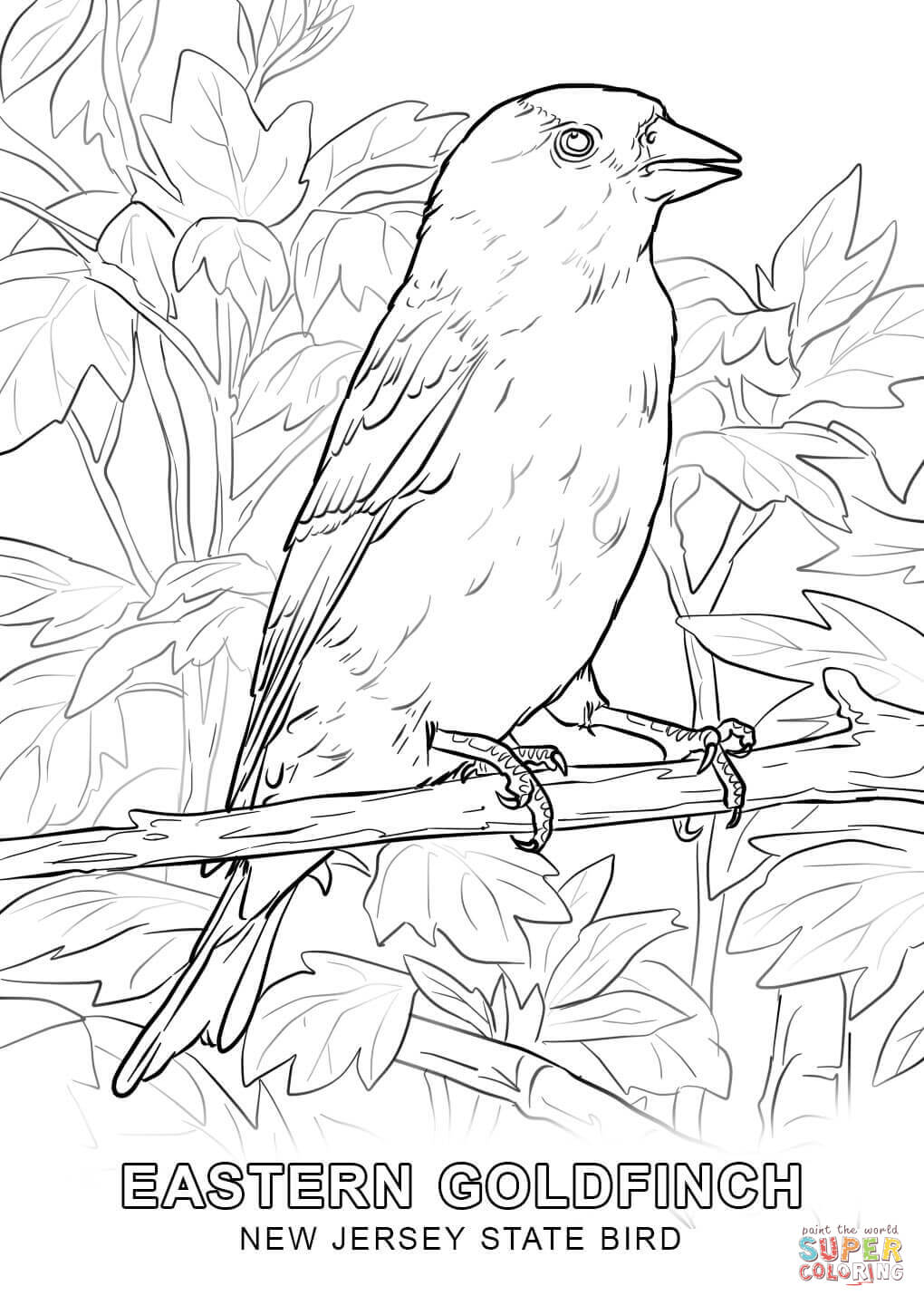 New jersey state bird coloring page free printable coloring pages