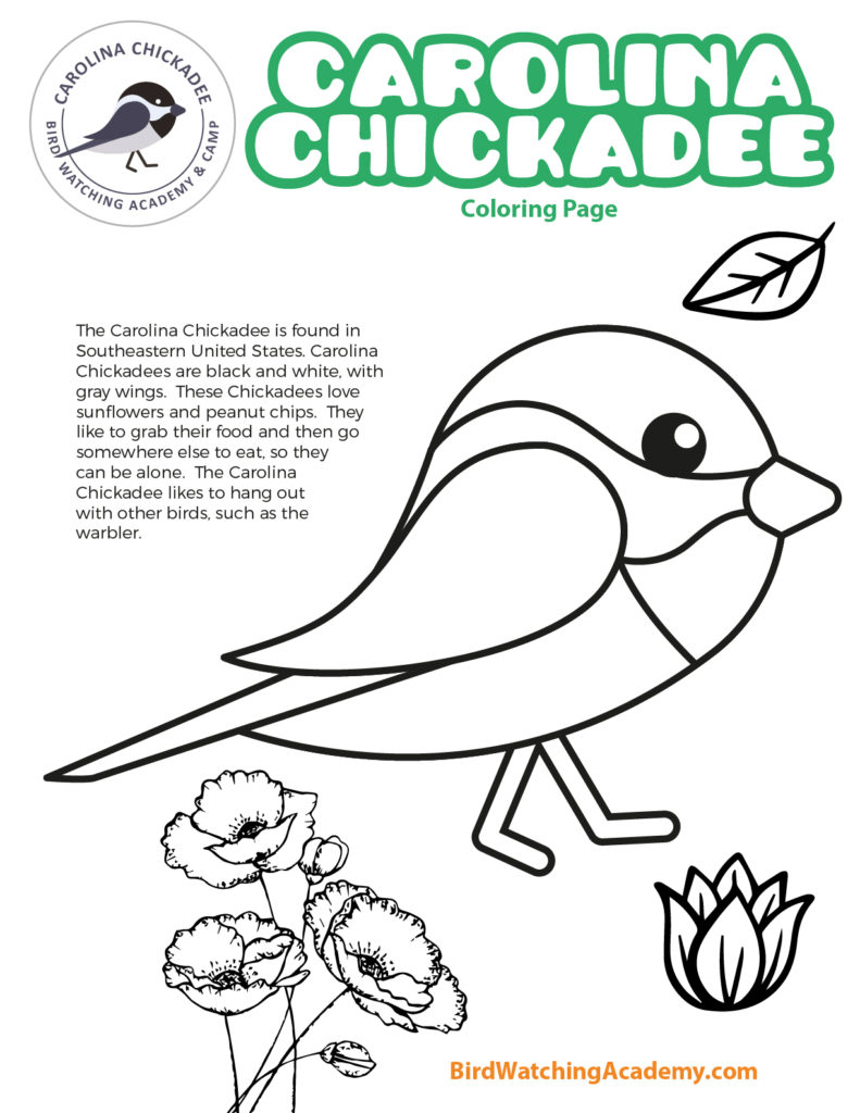 Bird coloring pages