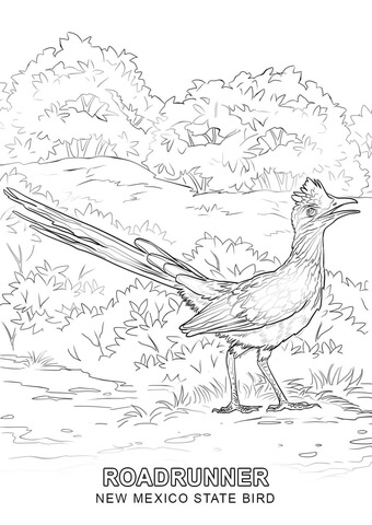 New mexico state bird coloring page free printable coloring pages