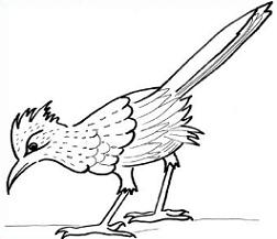 New mexico state bird drawing