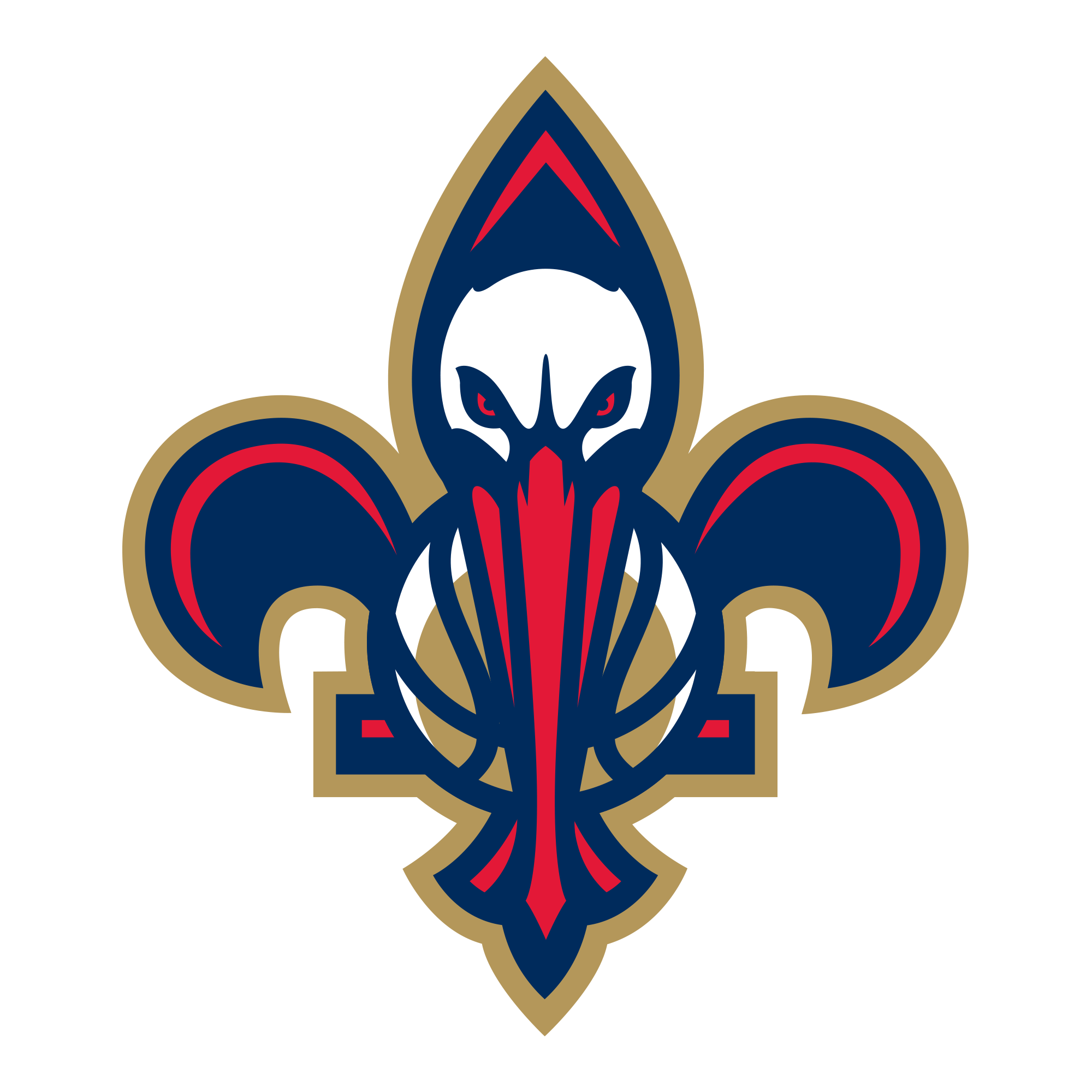 New orleans pelins team page