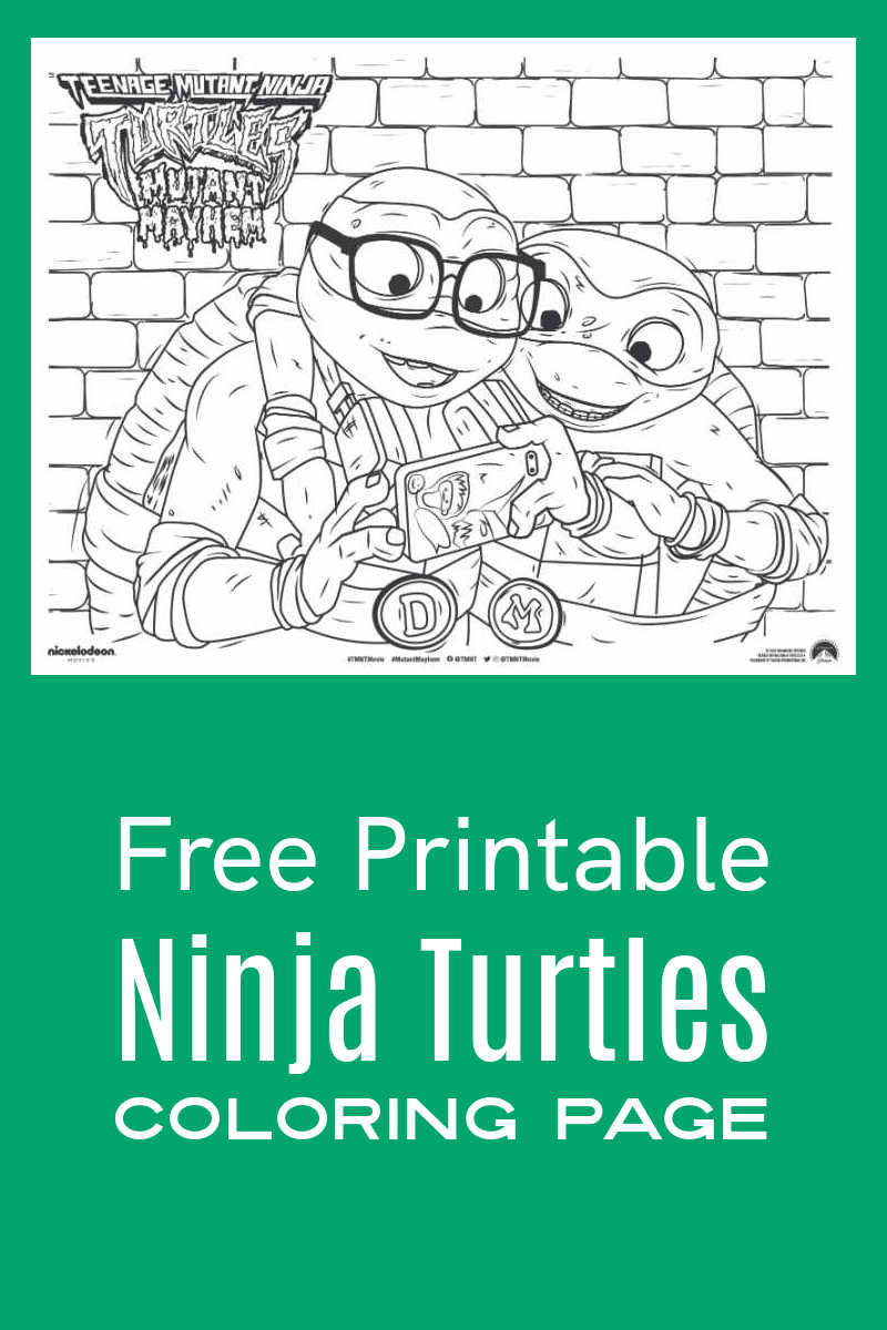 Tmnt donatello mikey coloring page