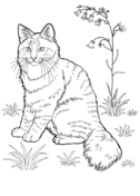 Norway coloring pages free coloring pages