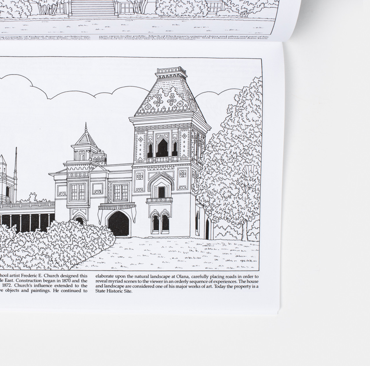 Historic homes of new york coloring book