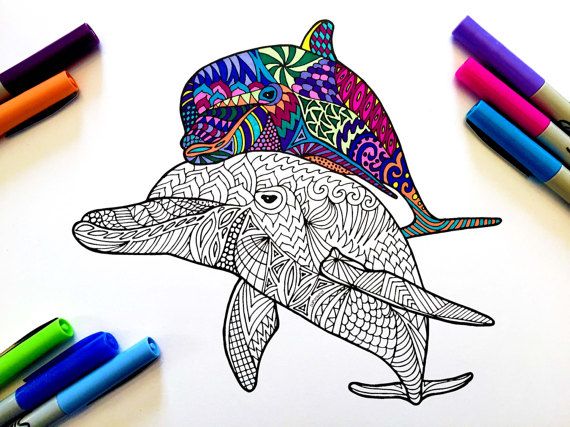 Dolphins pdf animal coloring page