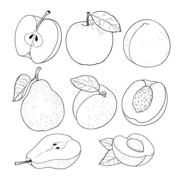 Apricot coloring page images stock photos d objects vectors