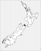 New zealand coloring pages free coloring pages