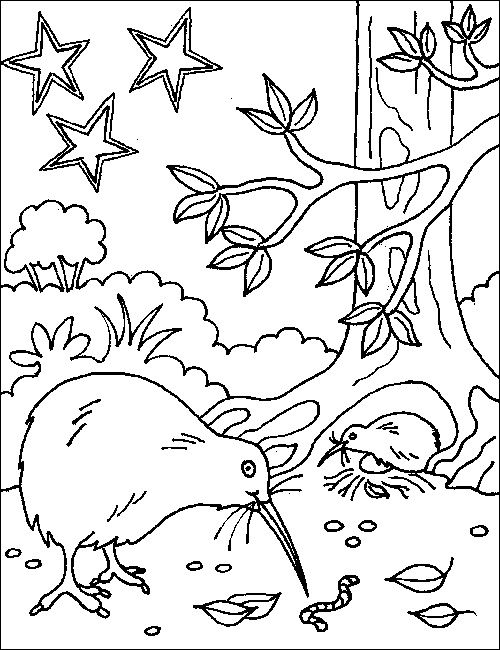 Aotearoa nz map colouring page