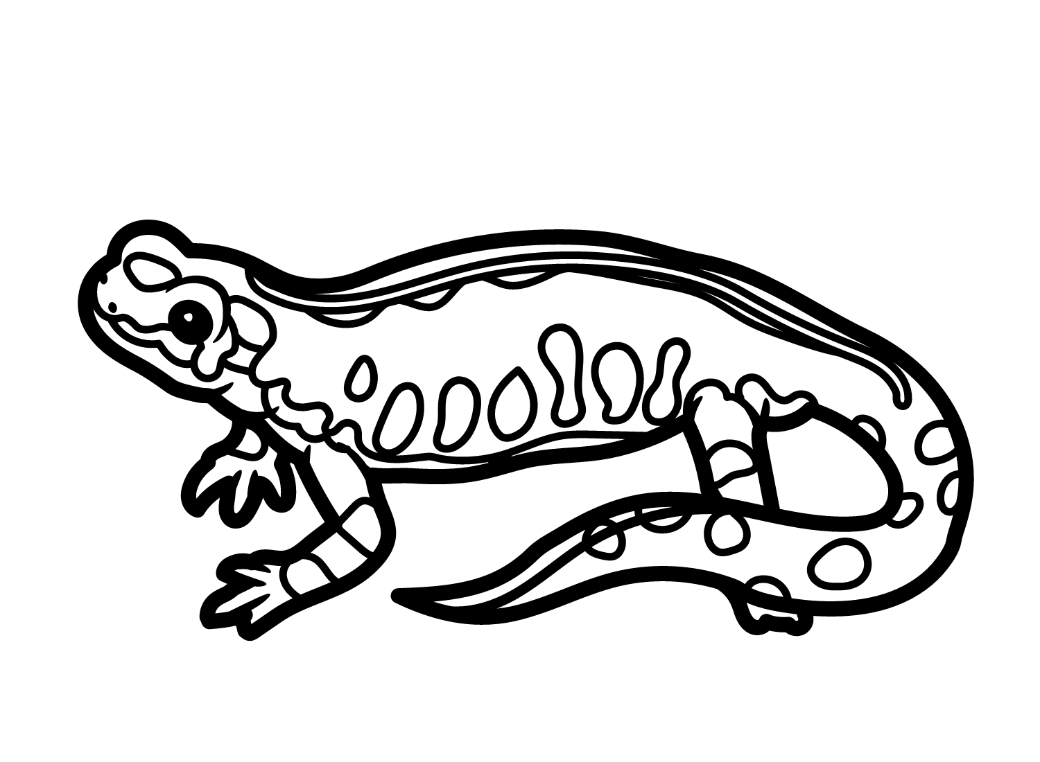 Newt coloring pages printable for free download