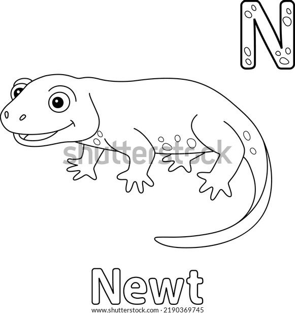 Newt coloring pages over royalty