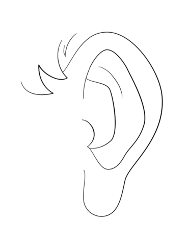 Human ear coloring page free printable coloring pages