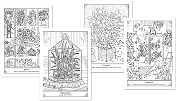 The happy houseplant coloring book plants to color and care for an indoor gardening coloring book keegan caitlin books