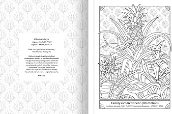 The happy houseplant coloring book plants to color and care for an indoor gardening coloring book keegan caitlin books