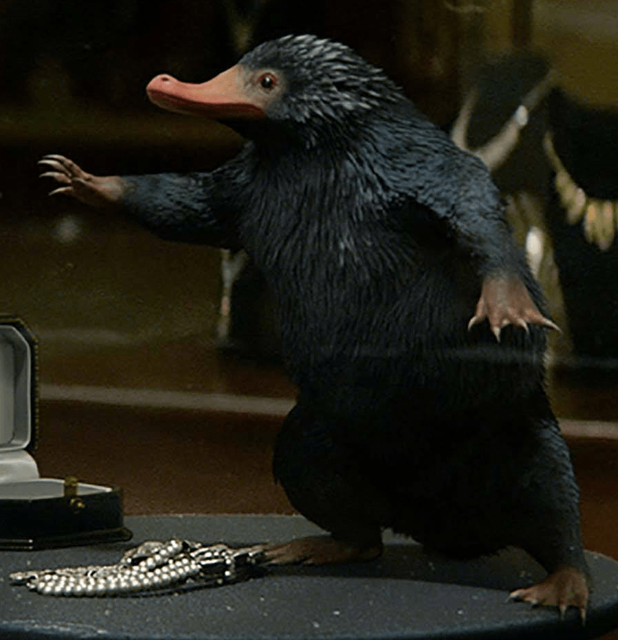 Niffler desktop s on