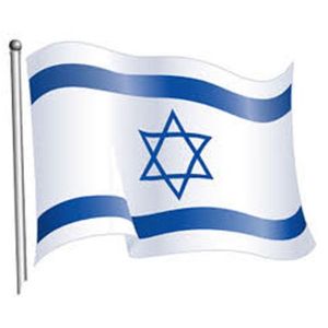 Generic israel outdoor flag xft nigeria