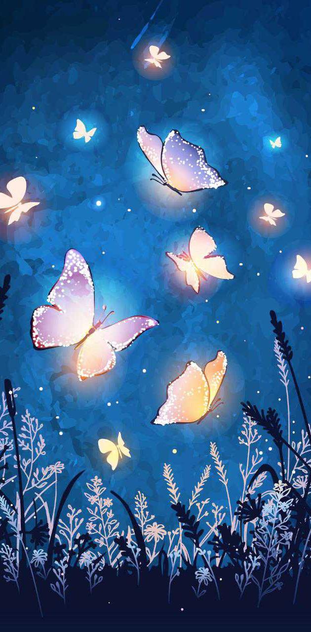 Download night butterfly wallpaper Bhmpics