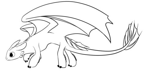 Night fury dragon coloring page dragon coloring page coloring pages how train your dragon