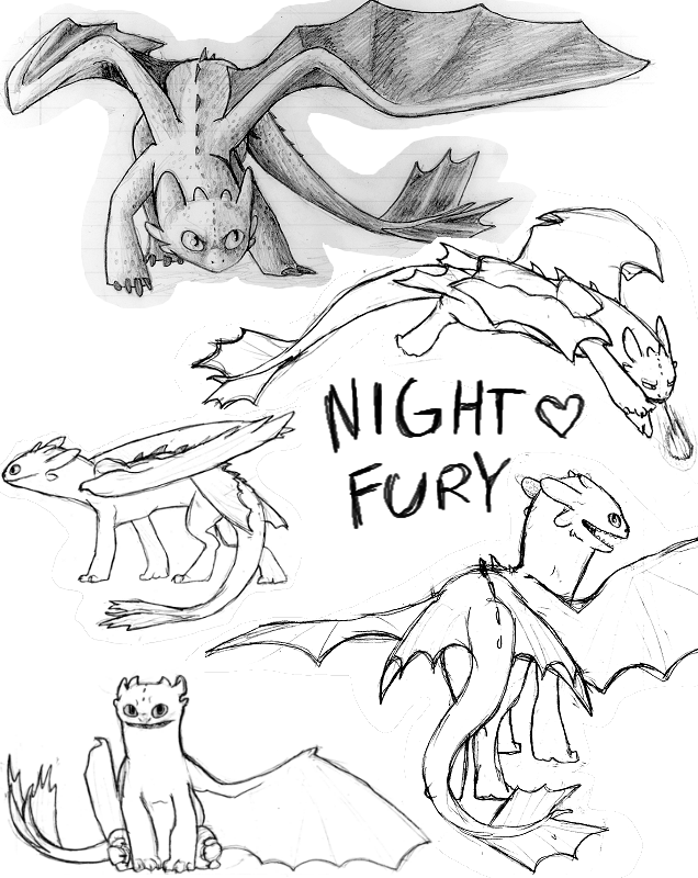 Night fury by kaileo on