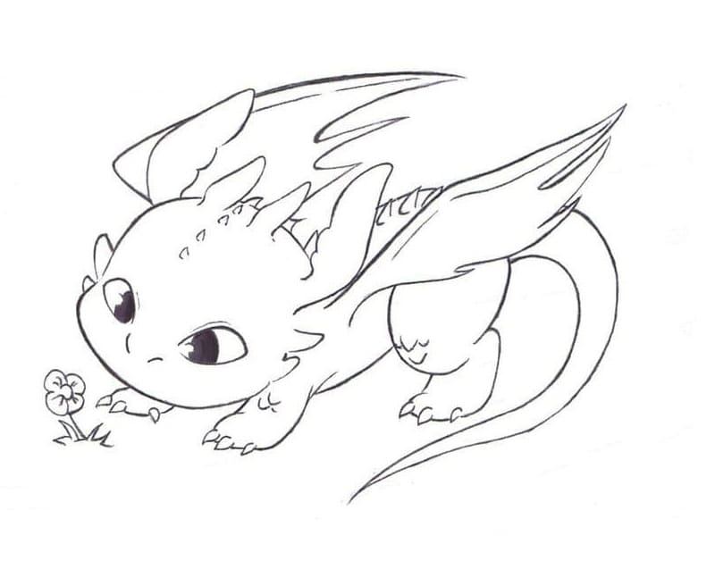 Toothless coloring pages