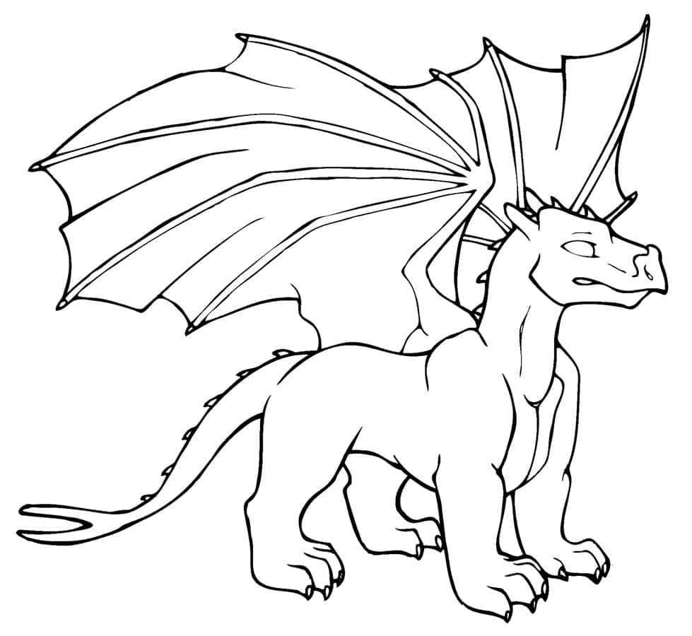 Download bring your dragon coloring dreams to life