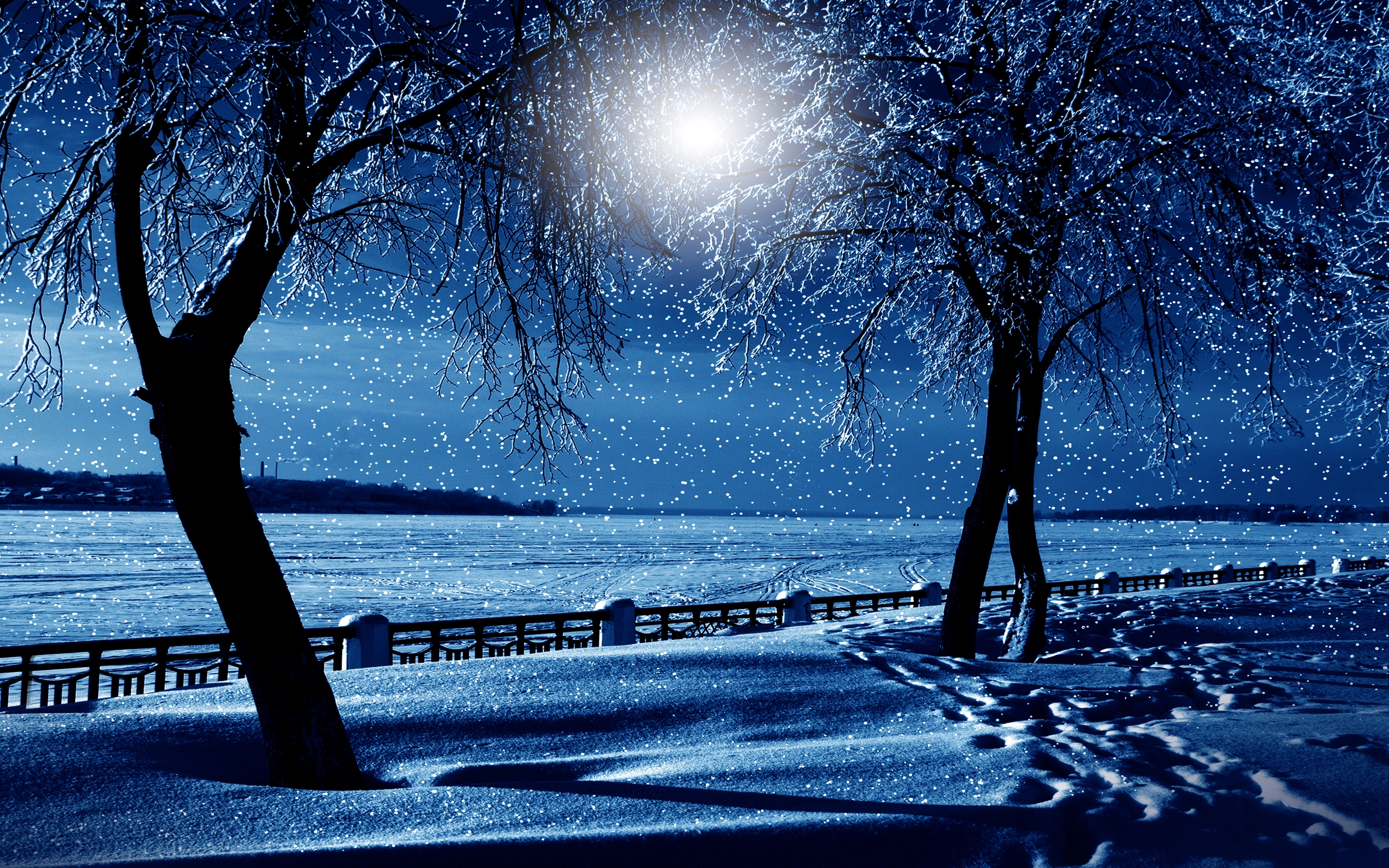 Winter Night Photos, Download The BEST Free Winter Night Stock