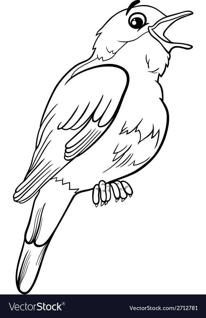 Nightingale bird coloring page royalty free vector image