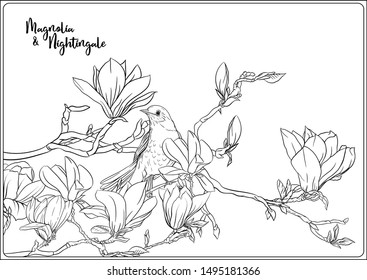 Magnolia tree branch flowers nightingale coloring stock vector royalty free