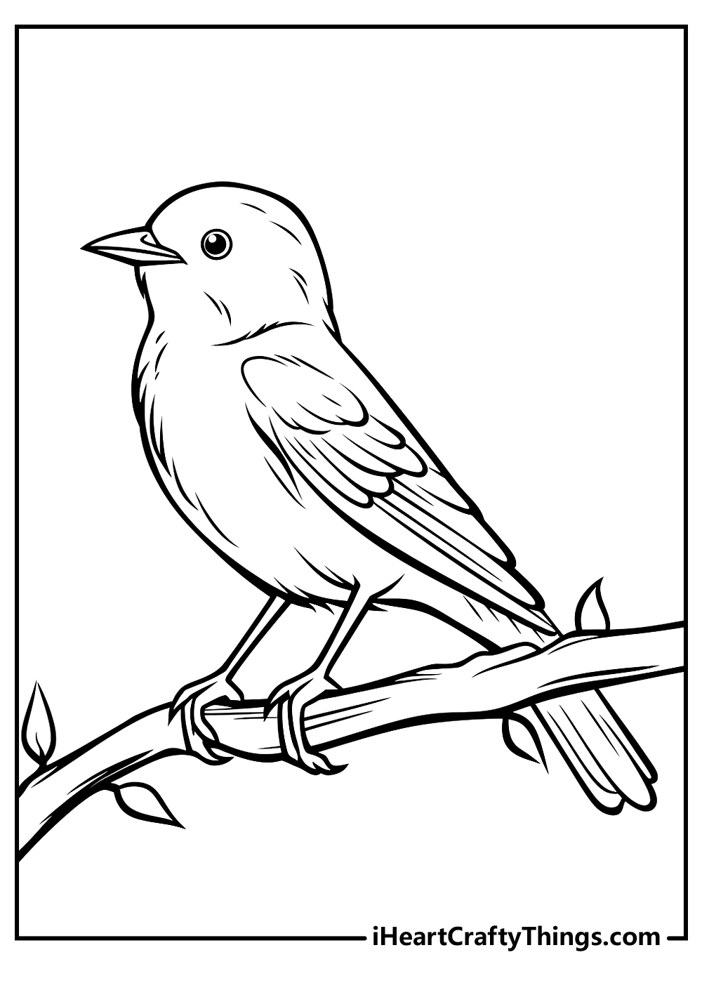 Bird coloring pages free printables