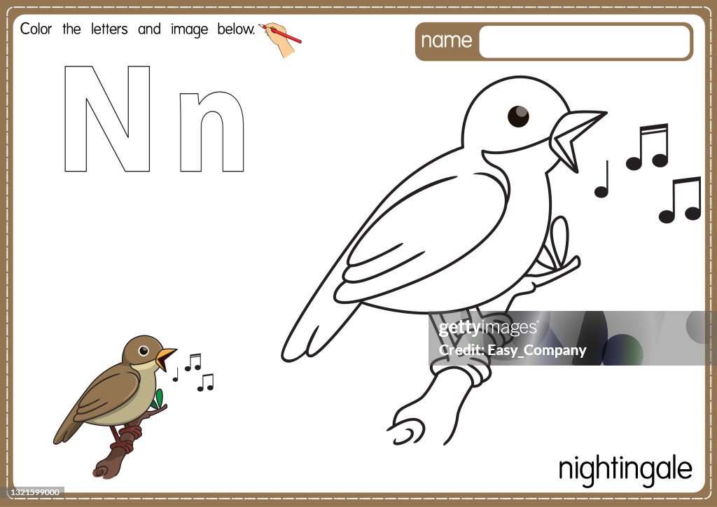 Vector illustration of kids alphabet coloring book page with outlined clip art to color letter n for nightingale high