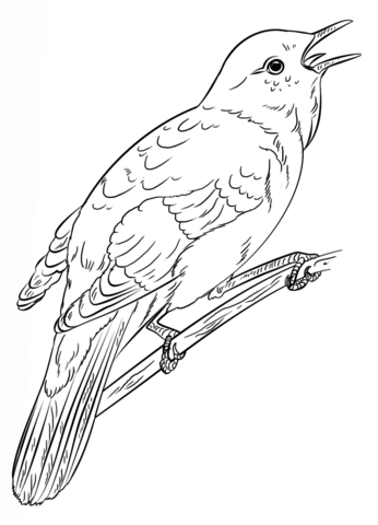 Mon nightingale coloring page free printable coloring pages