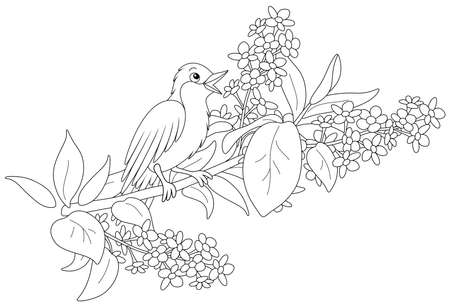 Small singing nightingale perched on a branch with flowers of a spring blooming tree black and white vector cartoon illustration for a coloring book page ù ùùø øªøµù ùù ù
