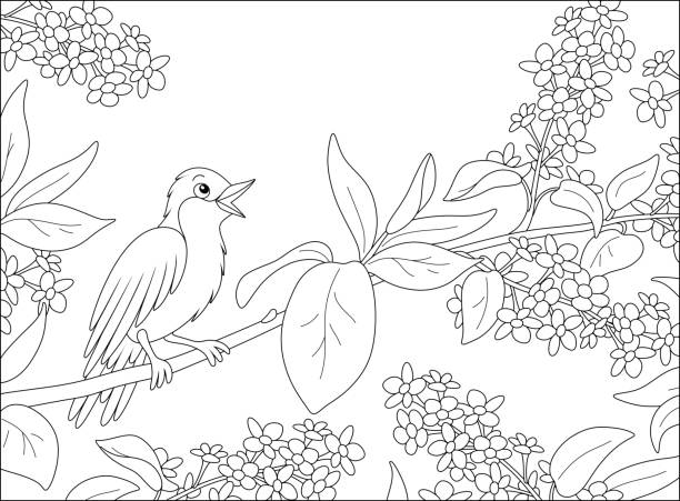 Nightingale singing on a branch with flowers stock illustration