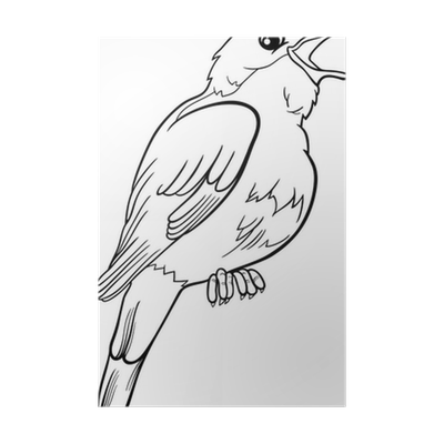 Poster nightingale bird coloring page