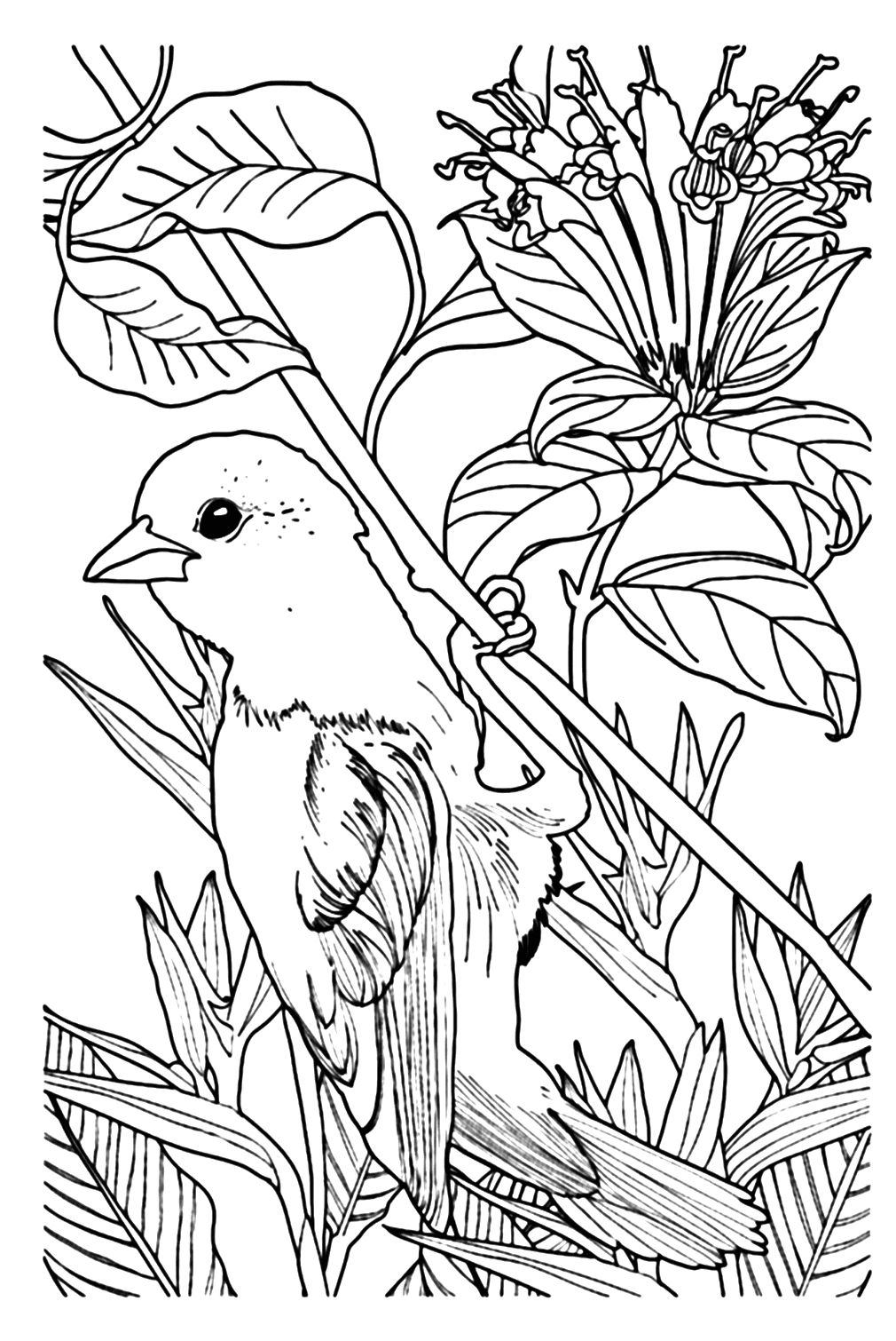 Nightingale image to color