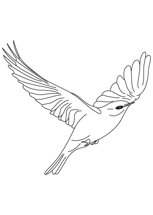 Bright bluebird flying coloring page download free bright bluebird flying coloring page for kids best coloring pages