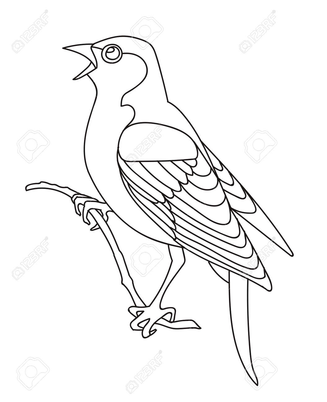 Vector line art monochrome song bird nightingale sitting on branch black contour illustration isolated on white background stock illustration for coloring book design print t