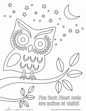 Nighttime owl worksheet education owl coloring pages coloring pages origami owl jewelry