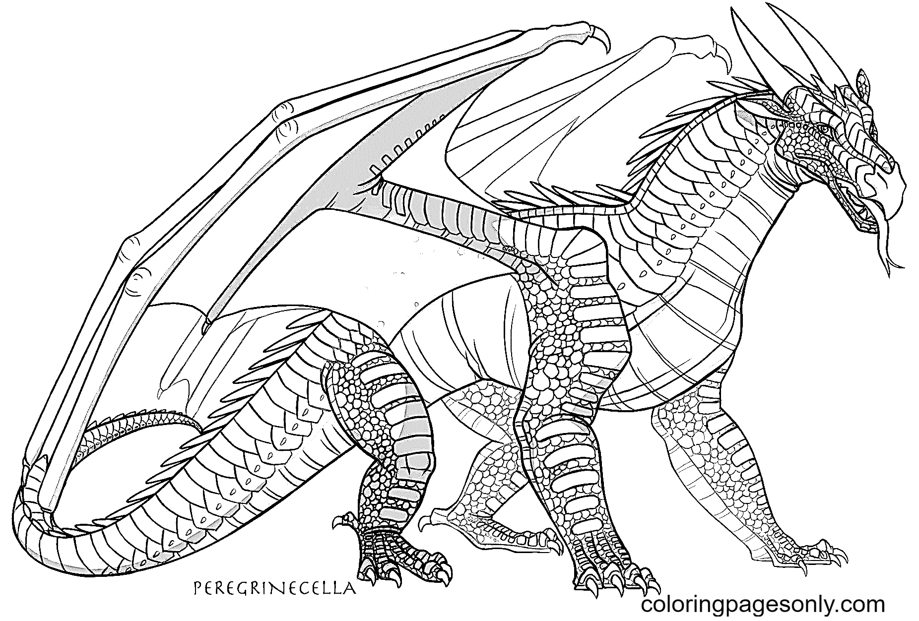 Nightwing dragon coloring page