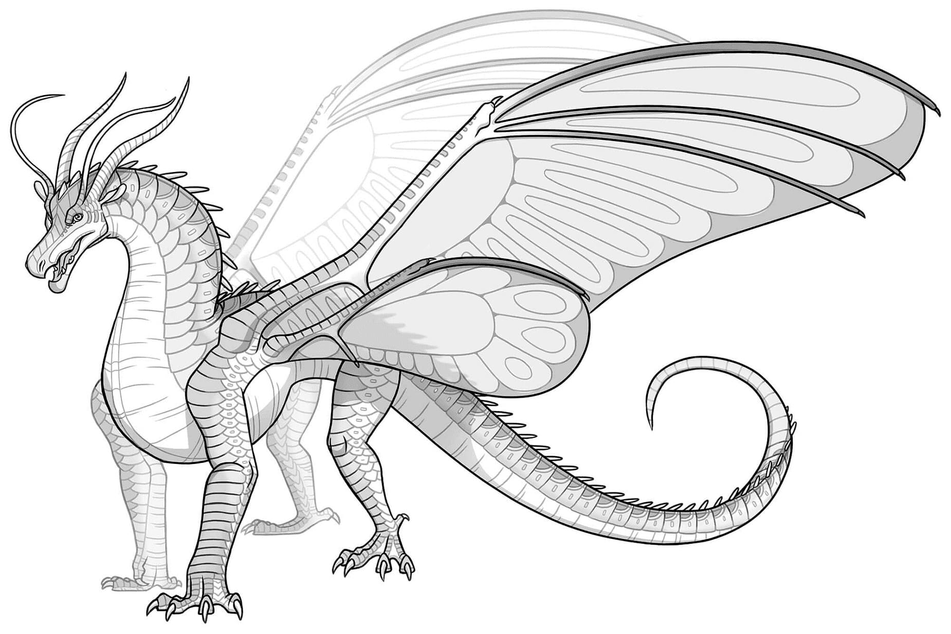 Wings of fire coloring pages